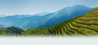 爱游戏APP-关于w-?d#